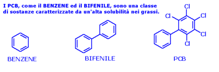 A sinistra il BENZENE, una sostanza il cui nome è abbastanza noto al pubblico come inquinante. E' il mattone costitutivo della molecola chiamata BIFENILE (al centro), che rappresenta la struttura di base dei PCB (policlorobifenili), in cui un certo numero di atomi di cloro sono presenti su uno o entrambi gli anelli in dipendenza dell'identità precisa del singolo policlorobifenile.